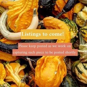 Women’s Petite - Small / Medium Clothing